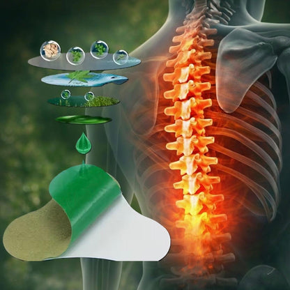 Premium Herbal Flasteri Za Bol u Kičmi